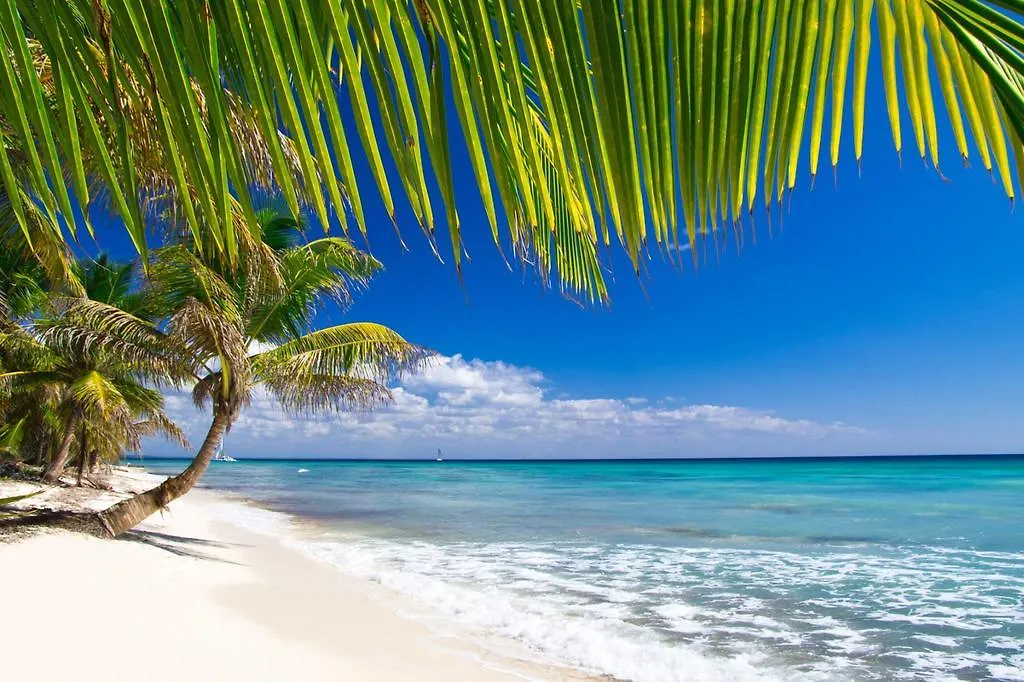 Guest house Appart Bleu Caraibe Bord De Mer Breakfast Promo Sur Wwwvacancesenmartiniquecom Hotel Les Trois-Ilets Martinique
